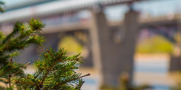 Новосибирск