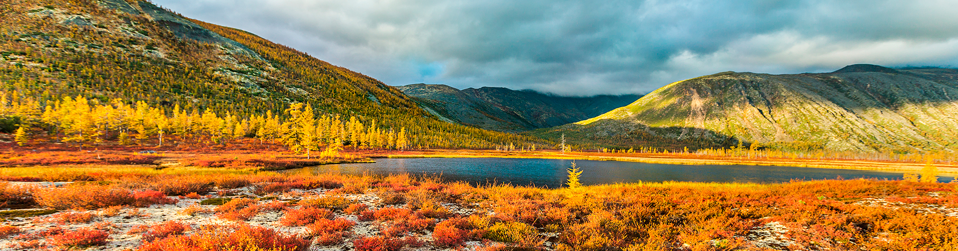 Авиабилеты Южно-Сахалинск - Магадан