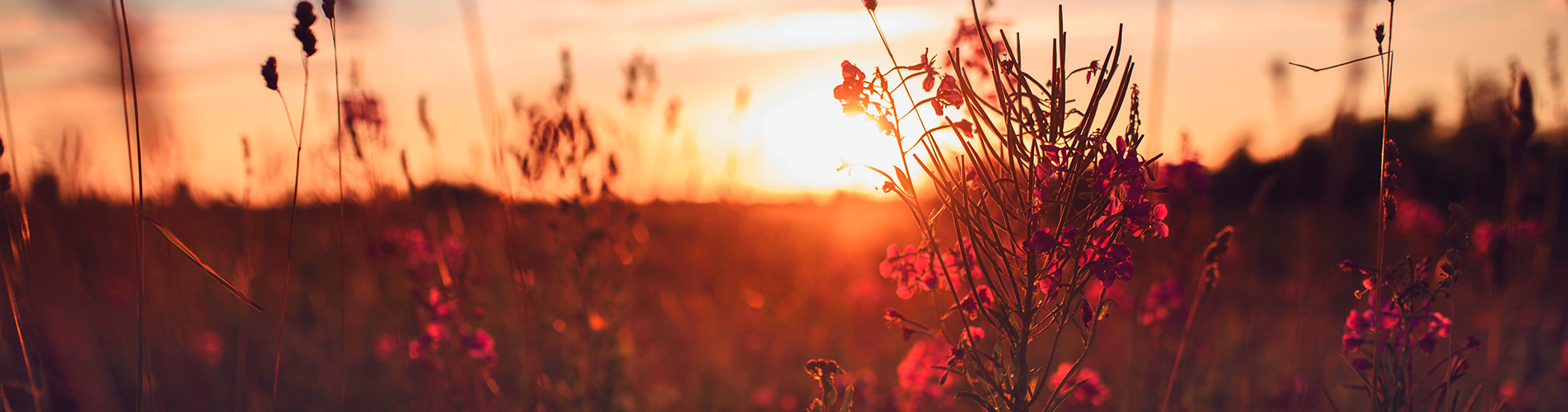 Аэропорт  Оха