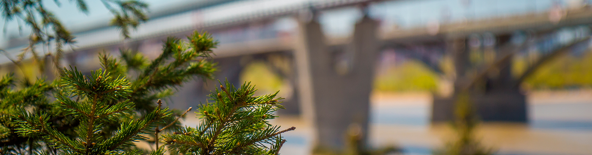 Авиабилеты Южно-Сахалинск - Новосибирск