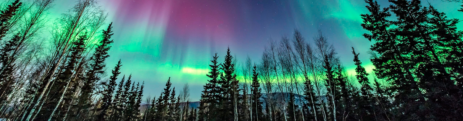 Авиабилеты Южно-Сахалинск - Салехард