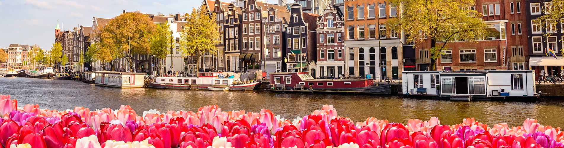 Авиабилеты в Нидерланды